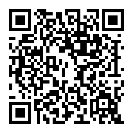 女人学好扎头发微信