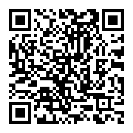 崇文少队部微信