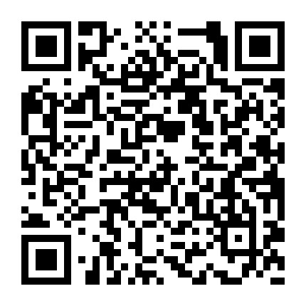 上海夜生活凤微信