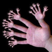 恶搞头像明星恶搞微信