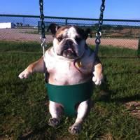 呆萌贱搞笑头像恶搞情侣头像