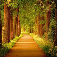 的唯美风景个性头像