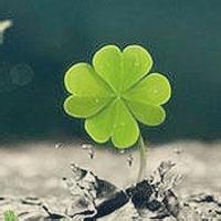 2016非主流头像带字的你的口是心非我懂