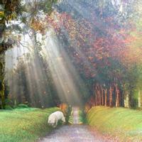 微信个性头像爱我所爱机油头像男生可爱意境情侣