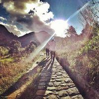 唯美静物意境头像