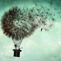 生活简单清新的意境没有必要的必要