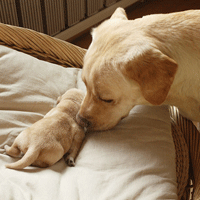 旧事旧伤疤微信非主流头像图