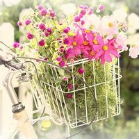 意境男生头像时间眼泪不能流过十二点