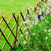 微信风景意境男生头像