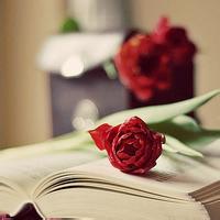 微信头像唯美意境侧面