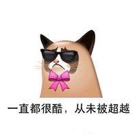 邪恶恶搞头像邪魅爱搞怪的张根硕