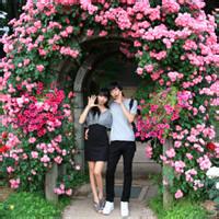 情侣头像非主流