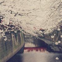 怀旧复古意境时尚女生头像清澈透明简约馈赠给特别的时光