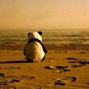 微信个性头像唯美意境不喜绕道i女生