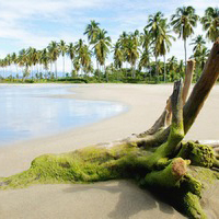 主题的微信唯美风景意境头像图片,非常个性非常漂亮