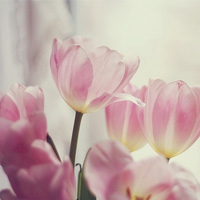 非主流头像,意境风景系列微信头像