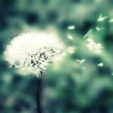 非主流女生意境头像她是我在青春岁月里的初恋