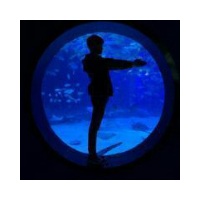 食苦果,最新有意境情侣头像╭乏味