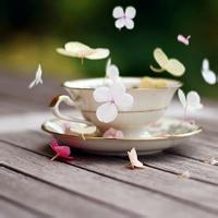 微信头像意境带字女头文字意境