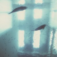 伤感意境头像我只是上传自己喜欢的图而已