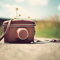 可爱静态意境个性微信头像图片,太可爱,有相机控,小动物,小饰品