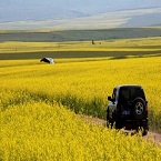 �й��Լ��������·ͶƱѡȡ��