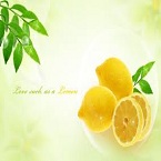 �����ĵã�����ʮ���ֵ���������