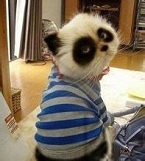 好久没有熬过夜了