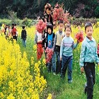 �������������ȥ̤��