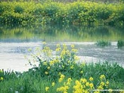 ���պ�ʱ�ڣ��ֻ���ͷ�������