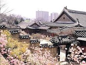 来自星星的旅行地:边看大结局边