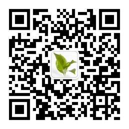 宜都绿茶官方微信号二维码