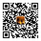 ���߶�ά��