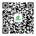 关注绿淘网微信 订餐更