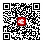 哈尔滨信息网为哈尔滨市居民免费发布二维码