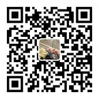 关注男性女性，男性女性百科大全二维码