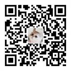 法国留学生活指南二维码