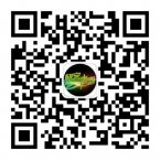 极客青春二维码