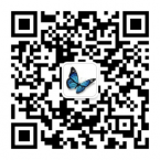 易筋经神奇瘦二维码