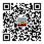 车之家交通信息查询