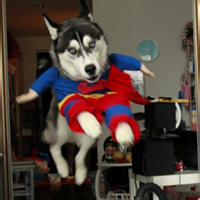 彩色重口味女人嘴唇微信头像_微信头像图片大