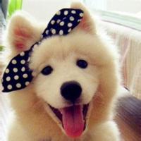 微信搞笑头像高清图片_微信头像图片大全