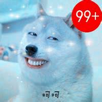 微信搞笑的哈士奇99+强迫症头像