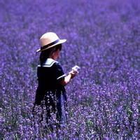小女孩漫步薰衣草花海微信浪漫头像