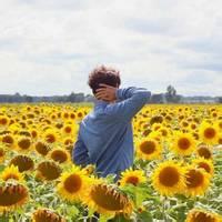 向日葵中的小清新男士微信头像