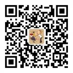 爱情婚姻二维码