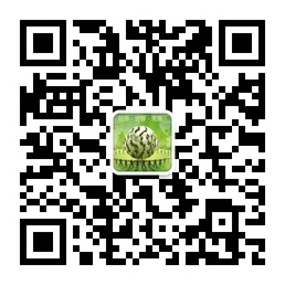 北部湾人脉开发微信号北部湾服务在线二维码