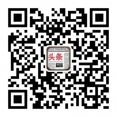每日头条资讯微信公众账号二维码