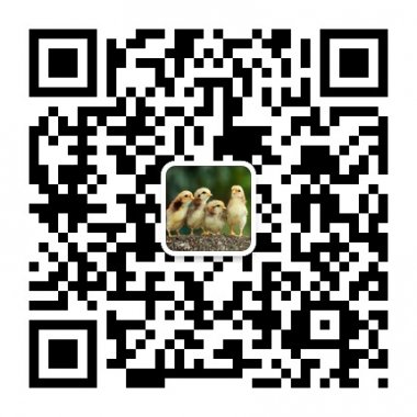 这个人很有意思什么都没有留下微信号二维码