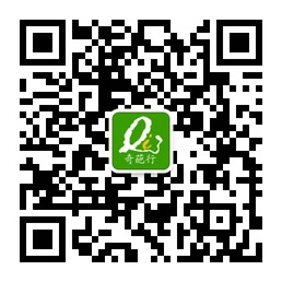 创意30秒全球新鲜行分享